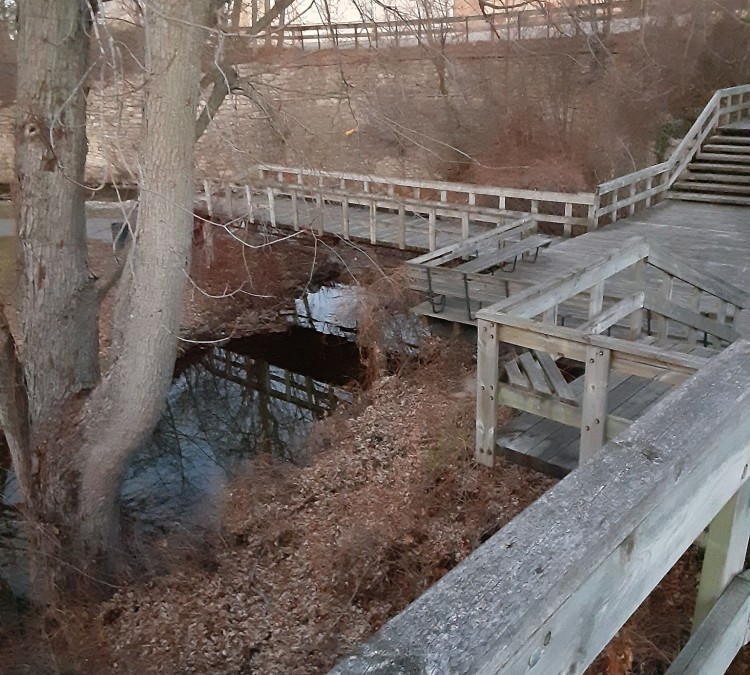 mitchell-creek-park-photo